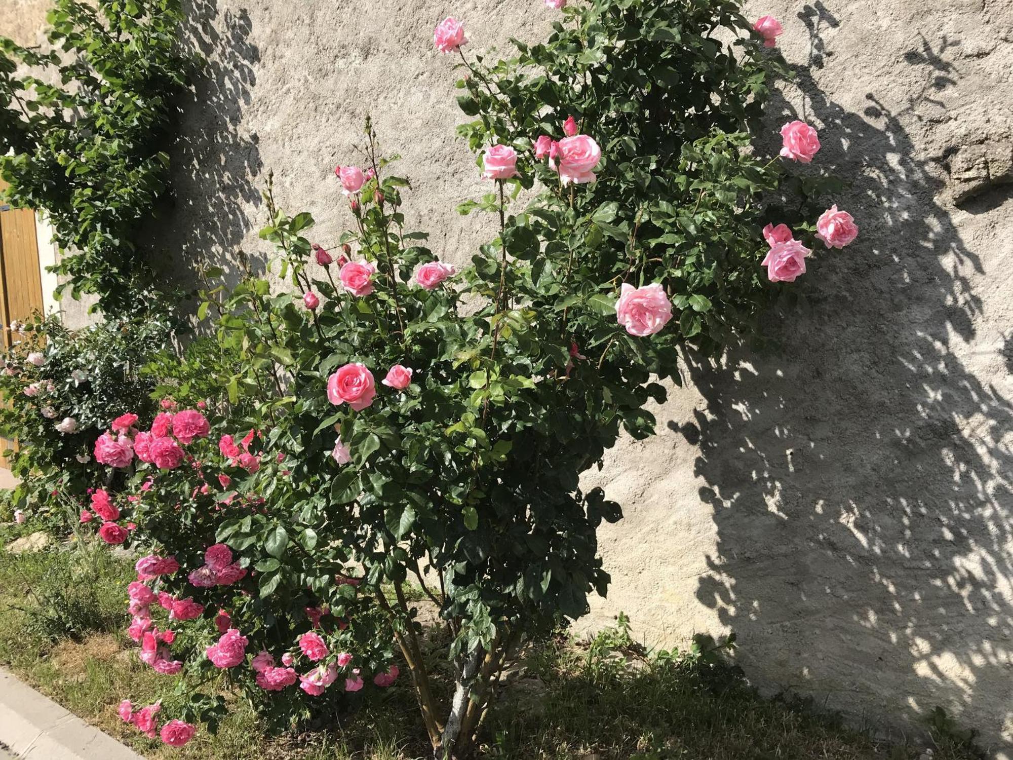 Gite Renove Avec Jardin, Proche Loisirs Et Commerces, A Une Heure De Nancy Et Metz - Fr-1-584-168 Autrepierre المظهر الخارجي الصورة